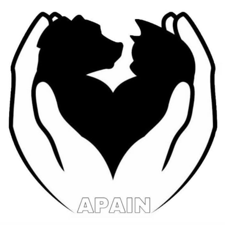 APAIN convoca associados para eleição de nova diretoria em Inocência