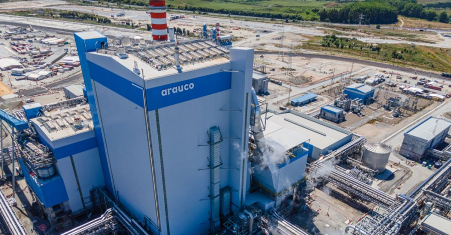 Arauco abre novas vagas de emprego para Inocência, Três Lagoas e Paranaíba
