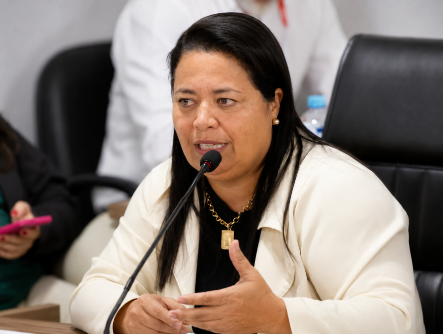 Joceana Rosa cobra melhorias na iluminação, combate à dengue e mais atenção à terceira idade em Inocência