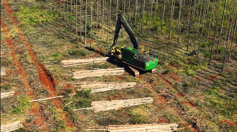 Arauco abre novas inscrições para programa de capacitação com bolsa de R$ 1.500 e oportunidades de emprego